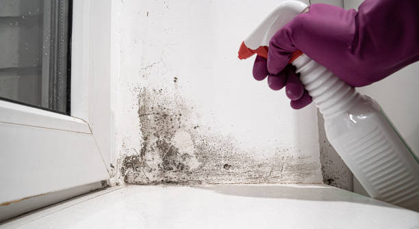 Water damage restoration experts